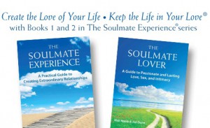the_soulmate_experience